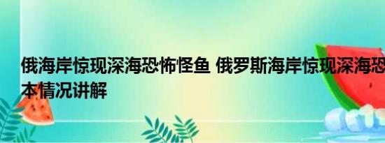 俄海岸惊现深海恐怖怪鱼 俄罗斯海岸惊现深海恐怖怪鱼 基本情况讲解
