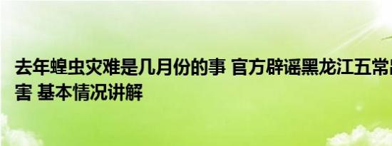 去年蝗虫灾难是几月份的事 官方辟谣黑龙江五常出现蝗虫灾害 基本情况讲解