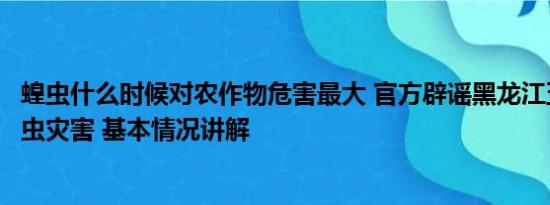 蝗虫什么时候对农作物危害最大 官方辟谣黑龙江五常出现蝗虫灾害 基本情况讲解