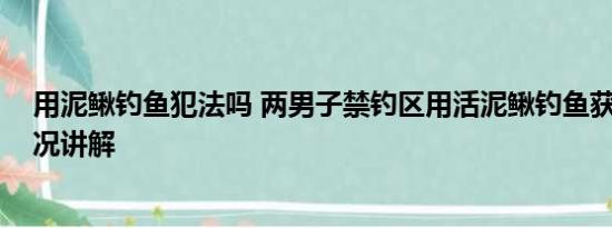 用泥鳅钓鱼犯法吗 两男子禁钓区用活泥鳅钓鱼获刑 基本情况讲解