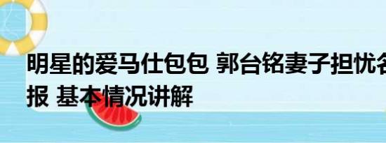 明星的爱马仕包包 郭台铭妻子担忧名牌包申报 基本情况讲解