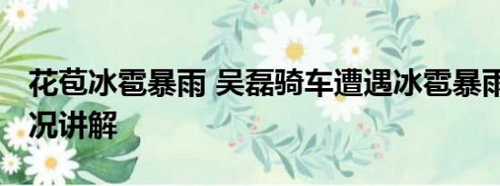 花苞冰雹暴雨 吴磊骑车遭遇冰雹暴雨 基本情况讲解