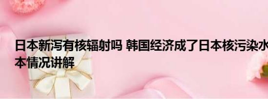 日本新泻有核辐射吗 韩国经济成了日本核污染水的祭品 基本情况讲解