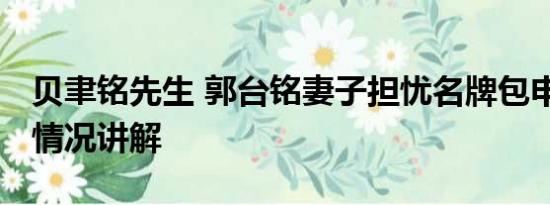 贝聿铭先生 郭台铭妻子担忧名牌包申报 基本情况讲解