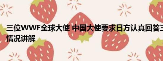 三位WWF全球大使 中国大使要求日方认真回答三问题 基本情况讲解