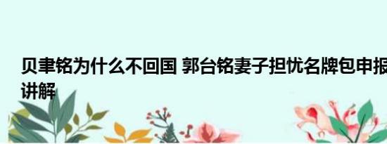 贝聿铭为什么不回国 郭台铭妻子担忧名牌包申报 基本情况讲解