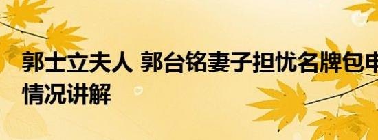 郭士立夫人 郭台铭妻子担忧名牌包申报 基本情况讲解