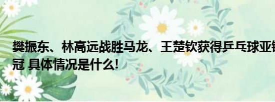 樊振东、林高远战胜马龙、王楚钦获得乒乓球亚锦赛男双夺冠 具体情况是什么!