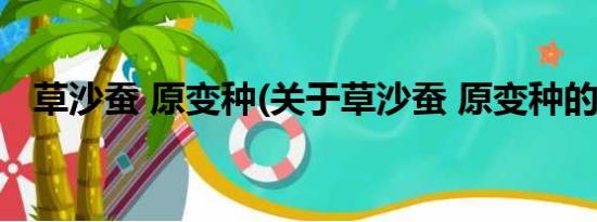 草沙蚕 原变种(关于草沙蚕 原变种的简介)