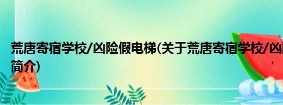 荒唐寄宿学校/凶险假电梯(关于荒唐寄宿学校/凶险假电梯的简介)