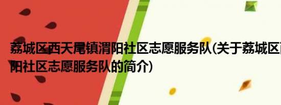 荔城区西天尾镇渭阳社区志愿服务队(关于荔城区西天尾镇渭阳社区志愿服务队的简介)