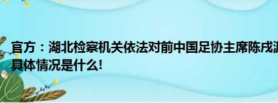 官方：湖北检察机关依法对前中国足协主席陈戌源提起公诉 具体情况是什么!