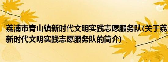 荔浦市青山镇新时代文明实践志愿服务队(关于荔浦市青山镇新时代文明实践志愿服务队的简介)