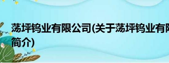 荡坪钨业有限公司(关于荡坪钨业有限公司的简介)