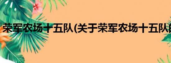 荣军农场十五队(关于荣军农场十五队的简介)