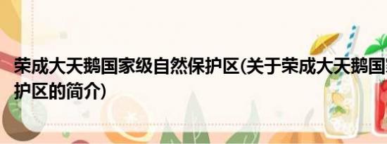 荣成大天鹅国家级自然保护区(关于荣成大天鹅国家级自然保护区的简介)