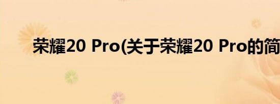荣耀20 Pro(关于荣耀20 Pro的简介)