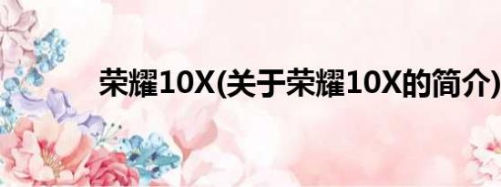 荣耀10X(关于荣耀10X的简介)