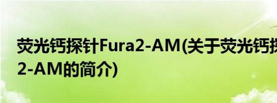 荧光钙探针Fura2-AM(关于荧光钙探针Fura2-AM的简介)
