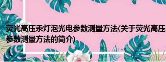 荧光高压汞灯泡光电参数测量方法(关于荧光高压汞灯泡光电参数测量方法的简介)