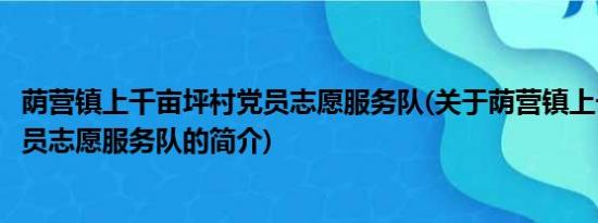 荫营镇上千亩坪村党员志愿服务队(关于荫营镇上千亩坪村党员志愿服务队的简介)