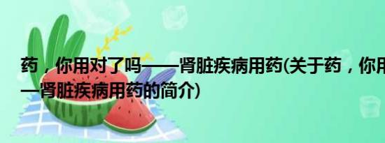 药，你用对了吗——肾脏疾病用药(关于药，你用对了吗——肾脏疾病用药的简介)