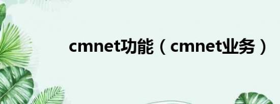 cmnet功能（cmnet业务）