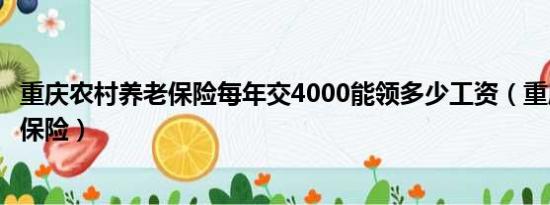 重庆农村养老保险每年交4000能领多少工资（重庆农村养老保险）