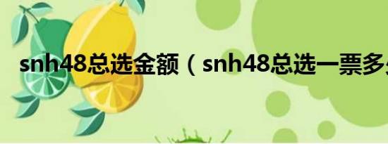 snh48总选金额（snh48总选一票多少钱）