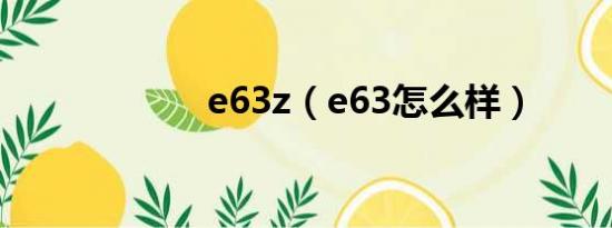 e63z（e63怎么样）