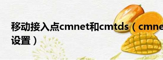 移动接入点cmnet和cmtds（cmnet接入点设置）