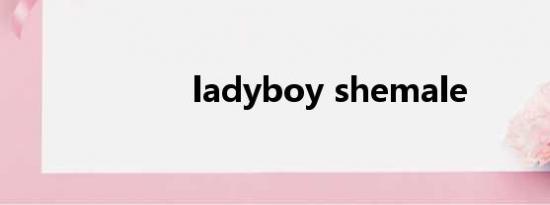 ladyboy shemale