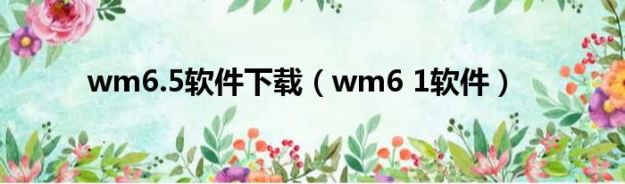 wm6.5软件下载（wm6 1软件）