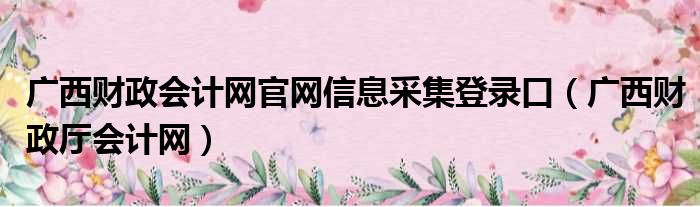 广西财政会计网官网信息采集登录口（广西财政厅会计网）