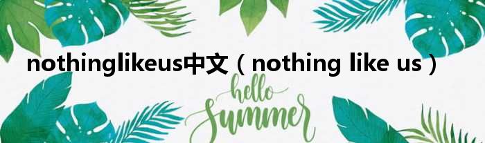 nothinglikeus中文（nothing like us）