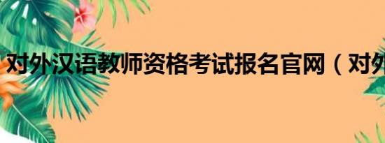 对外汉语教师资格考试报名官网（对外汉语）