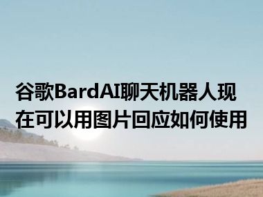 谷歌BardAI聊天机器人现在可以用图片回应如何使用