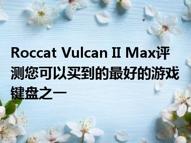 Roccat Vulcan II Max评测您可以买到的最好的游戏键盘之一