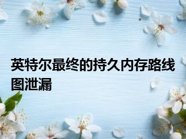 英特尔最终的持久内存路线图泄漏
