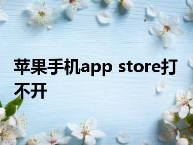 苹果手机app store打不开