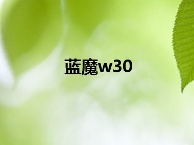 蓝魔w30