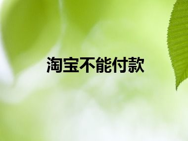 淘宝不能付款