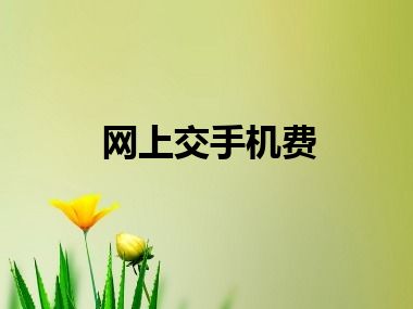 网上交手机费