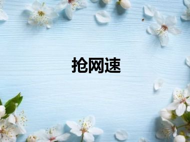 抢网速