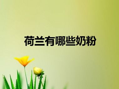 荷兰有哪些奶粉