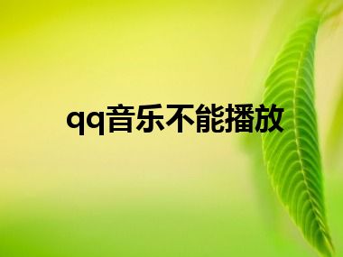 qq音乐不能播放