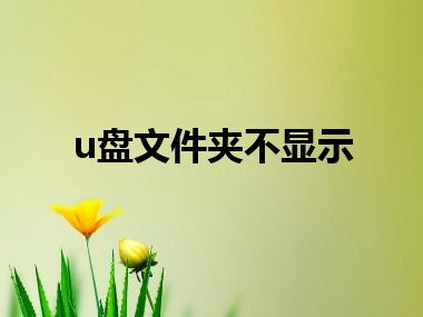 u盘文件夹不显示