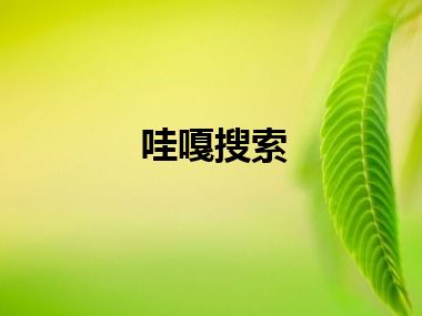 哇嘎搜索