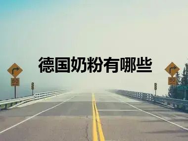 德国奶粉有哪些