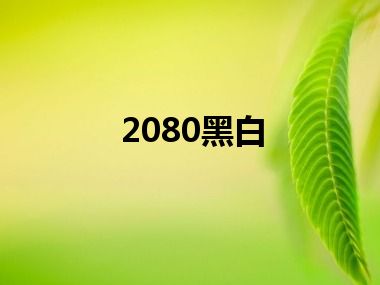 2080黑白